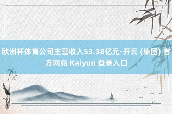 欧洲杯体育公司主营收入53.38亿元-开云 (集团) 官方网站 Kaiyun 登录入口