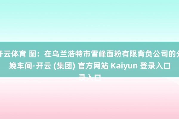   开云体育 图：在乌兰浩特市雪峰面粉有限背负公司的分娩车间-开云 (集团) 官方网站 Kaiyun 登录入口