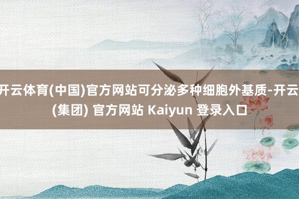   开云体育(中国)官方网站可分泌多种细胞外基质-开云 (集团) 官方网站 Kaiyun 登录入口