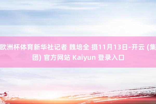   欧洲杯体育新华社记者 魏培全 摄11月13日-开云 (集团) 官方网站 Kaiyun 登录入口