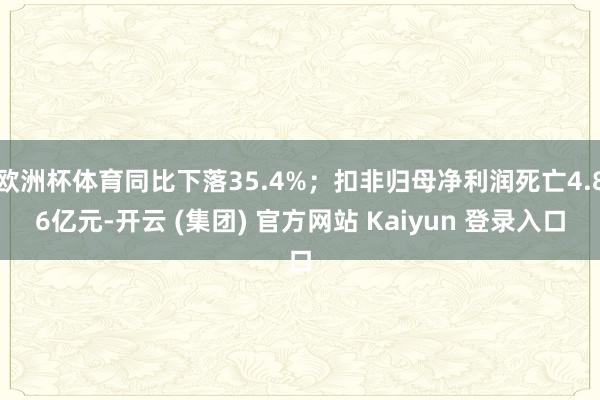   欧洲杯体育同比下落35.4%；扣非归母净利润死亡4.86亿元-开云 (集团) 官方网站 Kaiyun 登录入口
