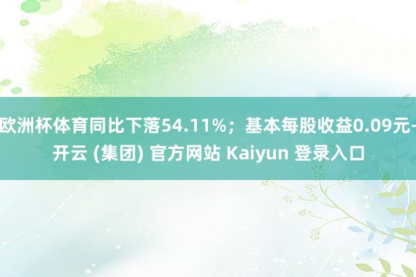   欧洲杯体育同比下落54.11%；基本每股收益0.09元-开云 (集团) 官方网站 Kaiyun 登录入口