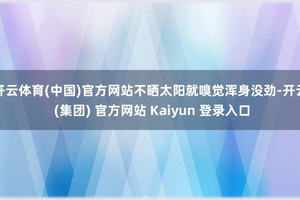 开云体育(中国)官方网站不晒太阳就嗅觉浑身没劲-开云 (集团