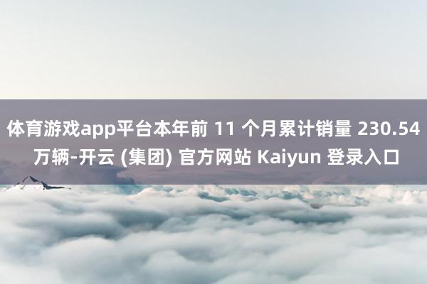 体育游戏app平台本年前 11 个月累计销量 230.54 