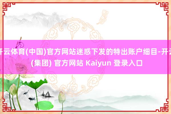 开云体育(中国)官方网站迷惑下发的特出账户细目-开云 (集团