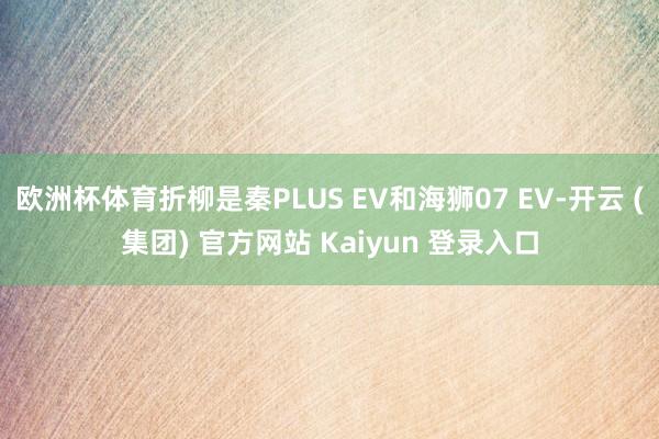 欧洲杯体育折柳是秦PLUS EV和海狮07 EV-开云 (集团) 官方网站 Kaiyun 登录入口