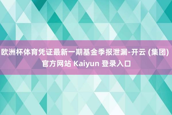 欧洲杯体育凭证最新一期基金季报泄漏-开云 (集团) 官方网站 Kaiyun 登录入口