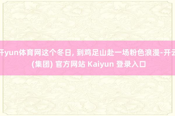 开yun体育网这个冬日, 到鸡足山赴一场粉色浪漫-开云 (集团) 官方网站 Kaiyun 登录入口