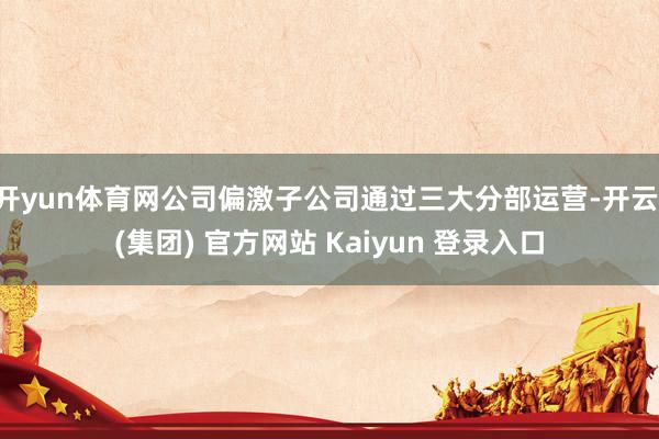 开yun体育网公司偏激子公司通过三大分部运营-开云 (集团) 官方网站 Kaiyun 登录入口