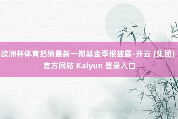 欧洲杯体育把柄最新一期基金季报披露-开云 (集团) 官方网站
