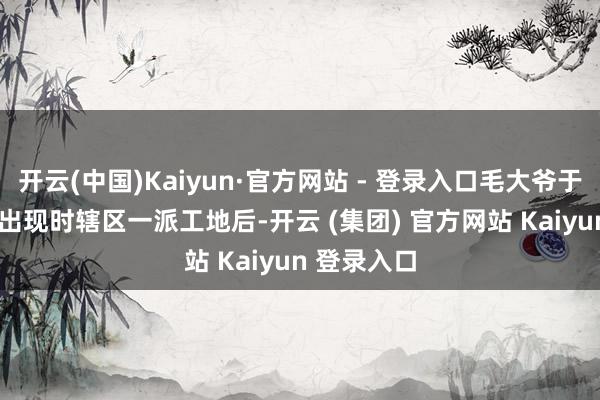 开云(中国)Kaiyun·官方网站 - 登录入口毛大爷于18
