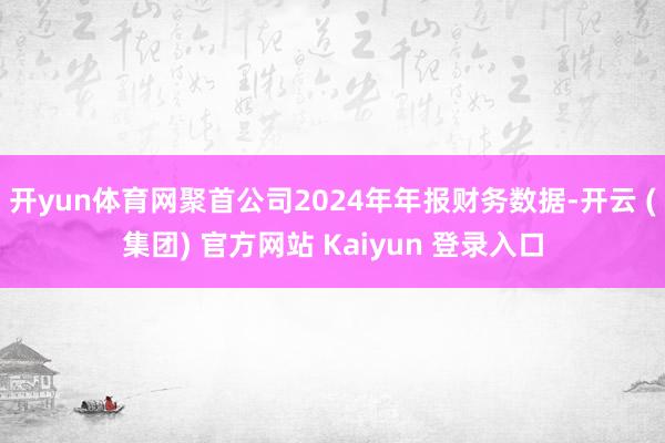开yun体育网聚首公司2024年年报财务数据-开云 (集团) 官方网站 Kaiyun 登录入口
