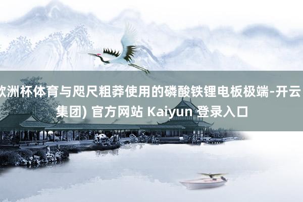 欧洲杯体育与咫尺粗莽使用的磷酸铁锂电板极端-开云 (集团) 