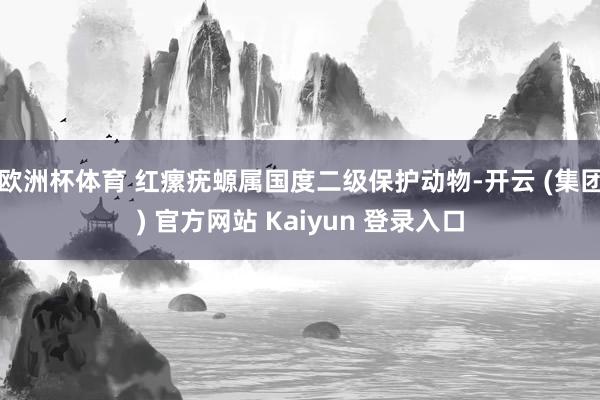 欧洲杯体育 红瘰疣螈属国度二级保护动物-开云 (集团) 官方网站 Kaiyun 登录入口