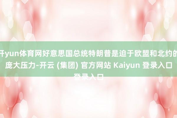 开yun体育网好意思国总统特朗普是迫于欧盟和北约的庞大压力-