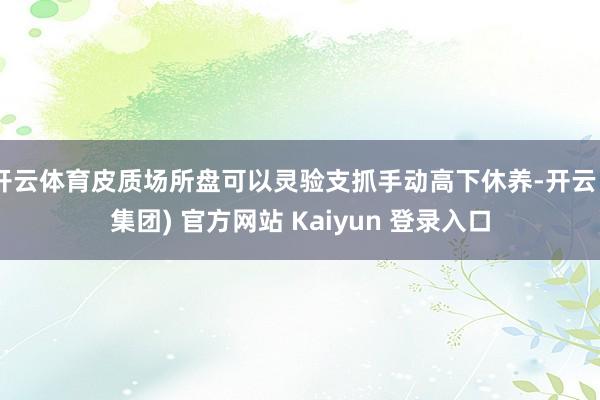 开云体育皮质场所盘可以灵验支抓手动高下休养-开云 (集团) 官方网站 Kaiyun 登录入口