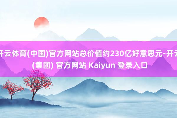 开云体育(中国)官方网站总价值约230亿好意思元-开云 (集