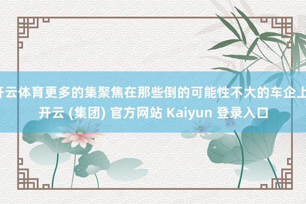 开云体育更多的集聚焦在那些倒的可能性不大的车企上-开云 (集团) 官方网站 Kaiyun 登录入口